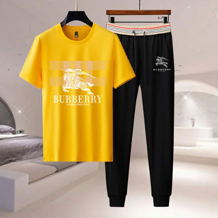 Picture of Burberry Shirt Pant Suits _SKUBurberryM-4XL11Lr0420472